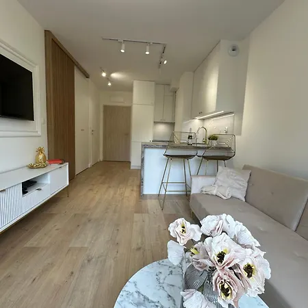 Butikowa 49 Apartment Bialystok Exterior photo
